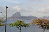 2545.jpg 2545.jpg