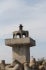 0807.jpg 0807.jpg