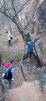 20240217_101729.jpg 20240217_101729.jpg