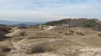 20240217_113141.jpg 20240217_113141.jpg