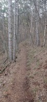 20240217_120528.jpg 20240217_120528.jpg
